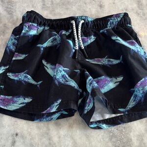 Art Class Swim Trunks